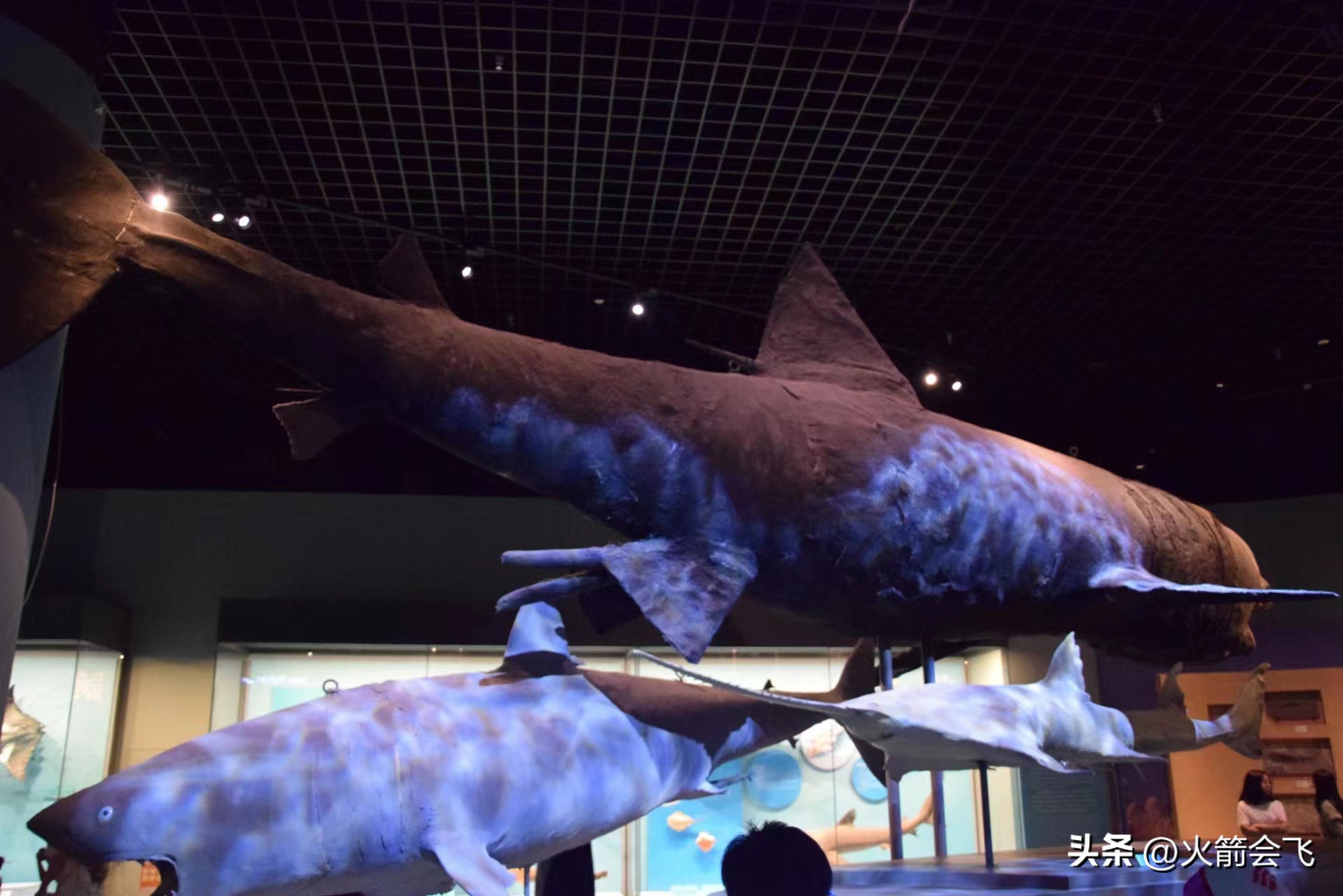 天津旅行攻略七日游价格多少,12小时极限游天津