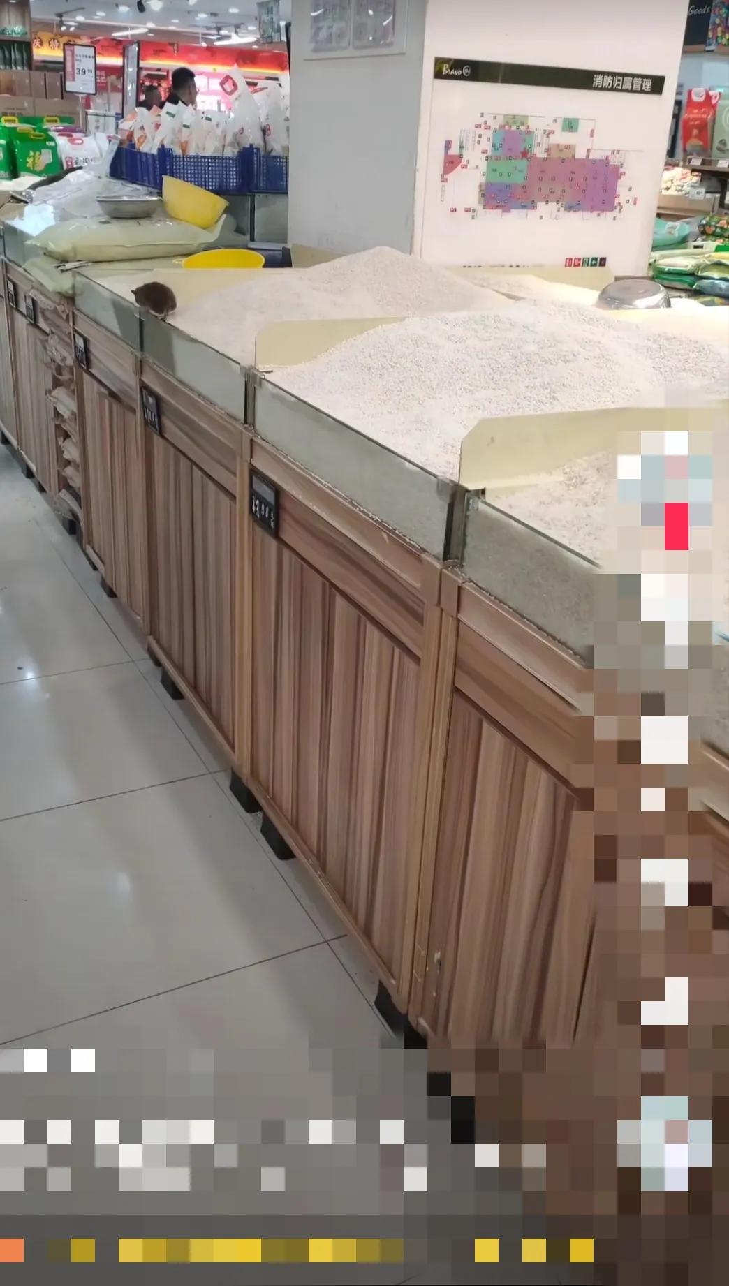 市场版的老鼠爱大米 (老鼠爱大米贵阳版)