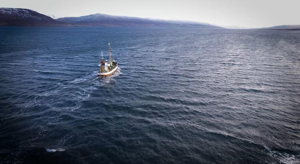 连续离奇失踪案,连续神秘失踪案