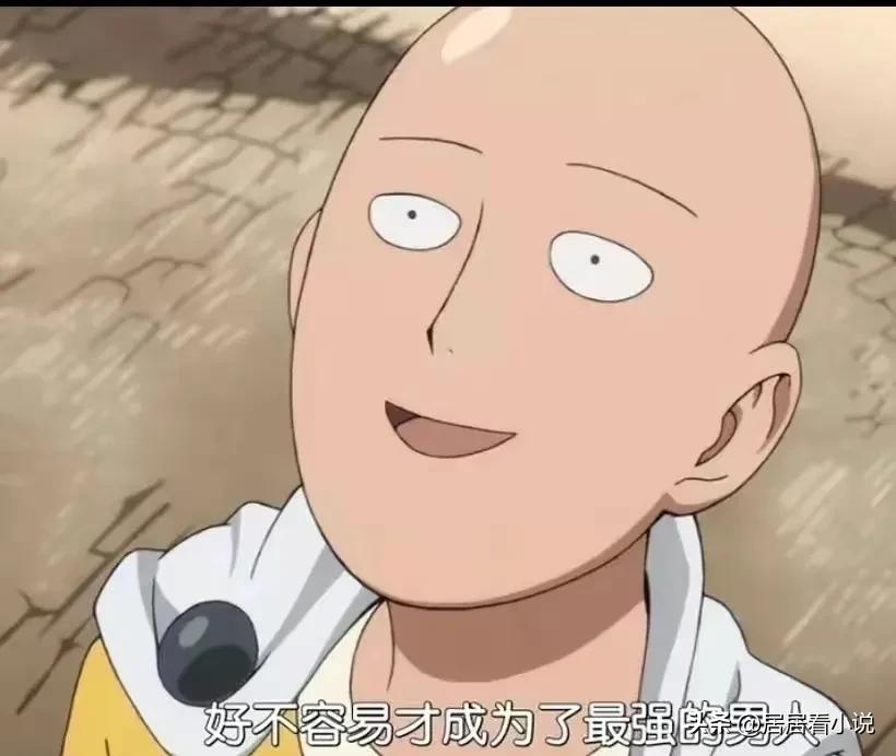 教授推荐的十本网文,北大教授推荐的十本言情小说