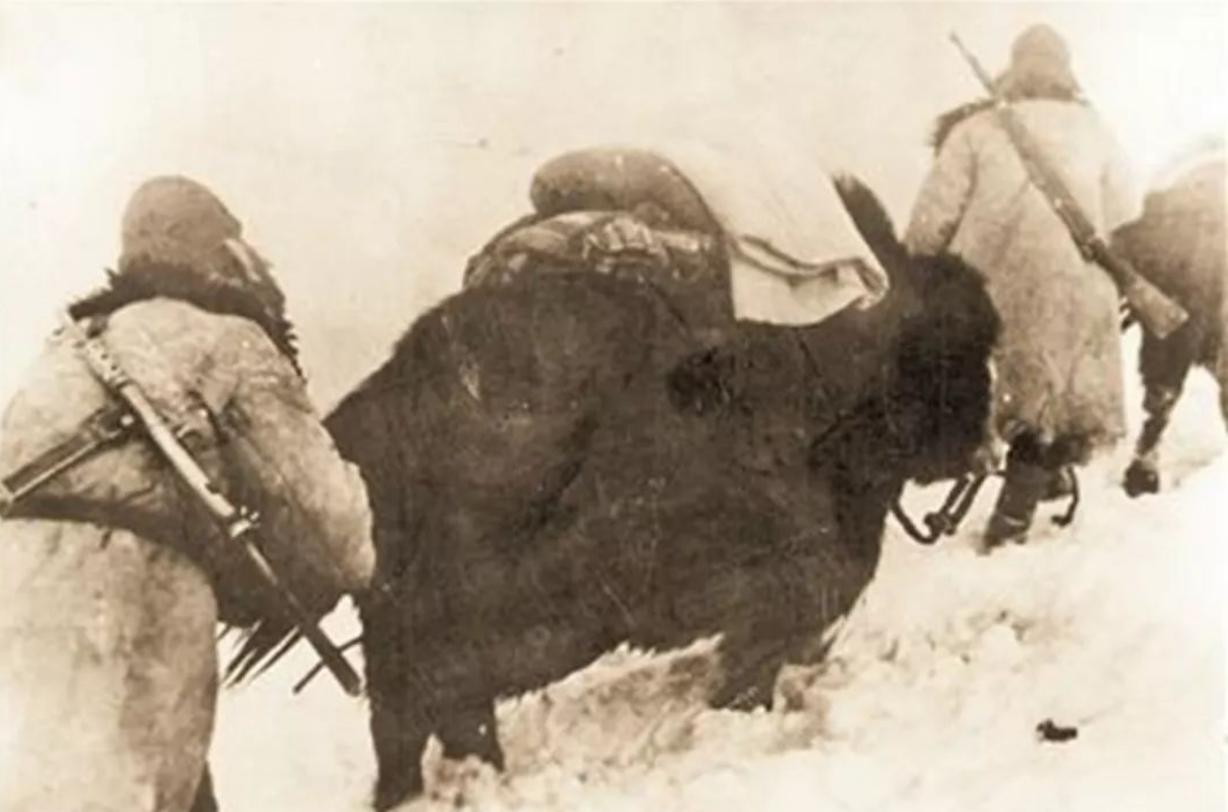 136人解放10个台湾大小的领土，毛主席落泪说了3遍“盖世英雄”