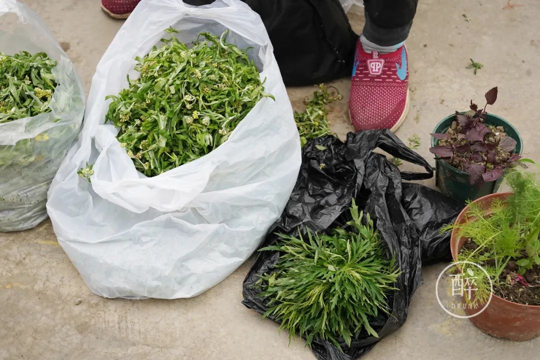 成都这个市场只开半天还放高温假，地图上找不到