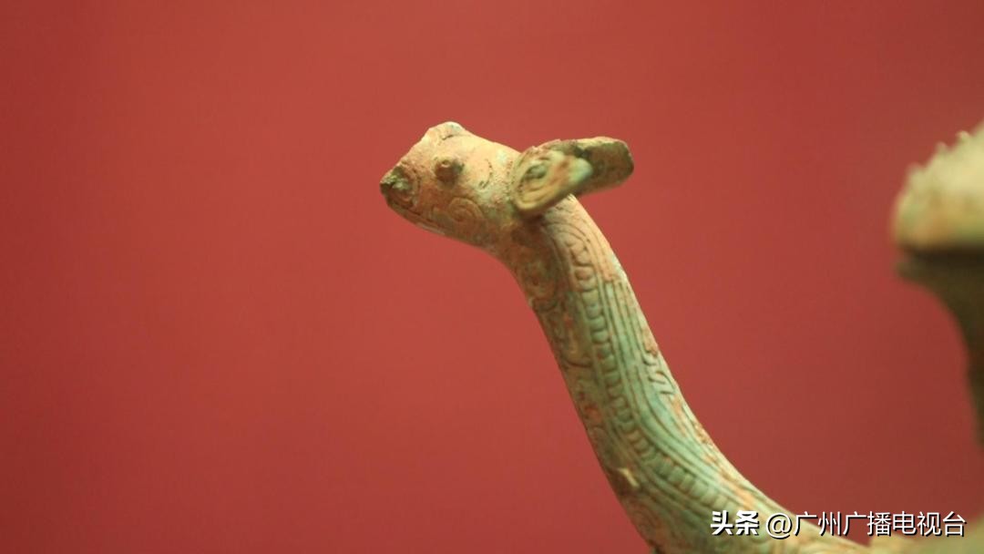 广州市省博物馆参观攻略,go带你去看世界