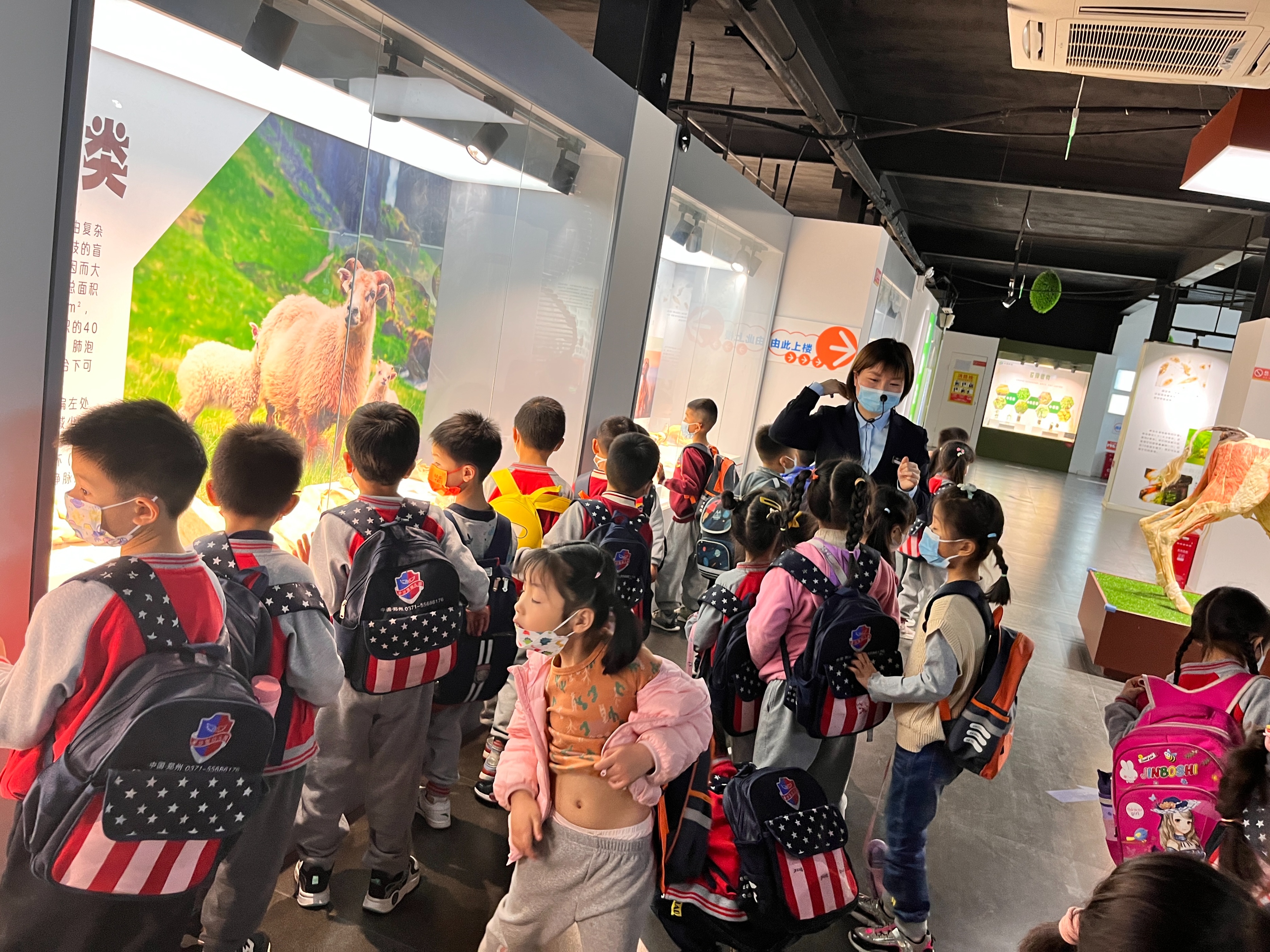 郑州赏花游玩推荐景点,郑州踏青旅游攻略