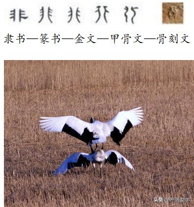 汉字偏旁部首正确格式,汉字偏旁部首名称表最齐全最完整