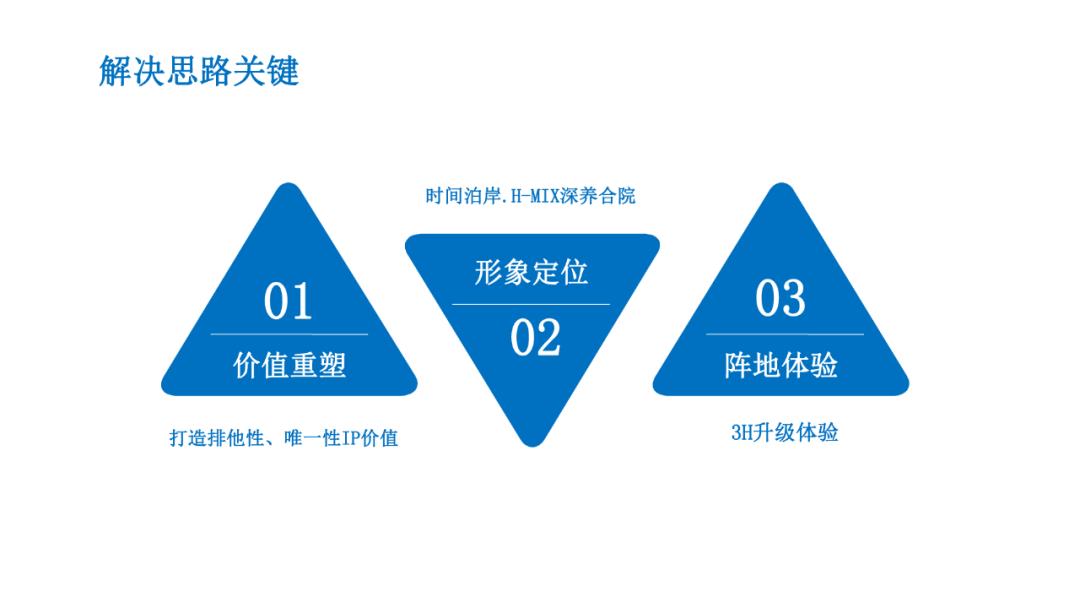 【案例】天目依云推广策略视觉提案