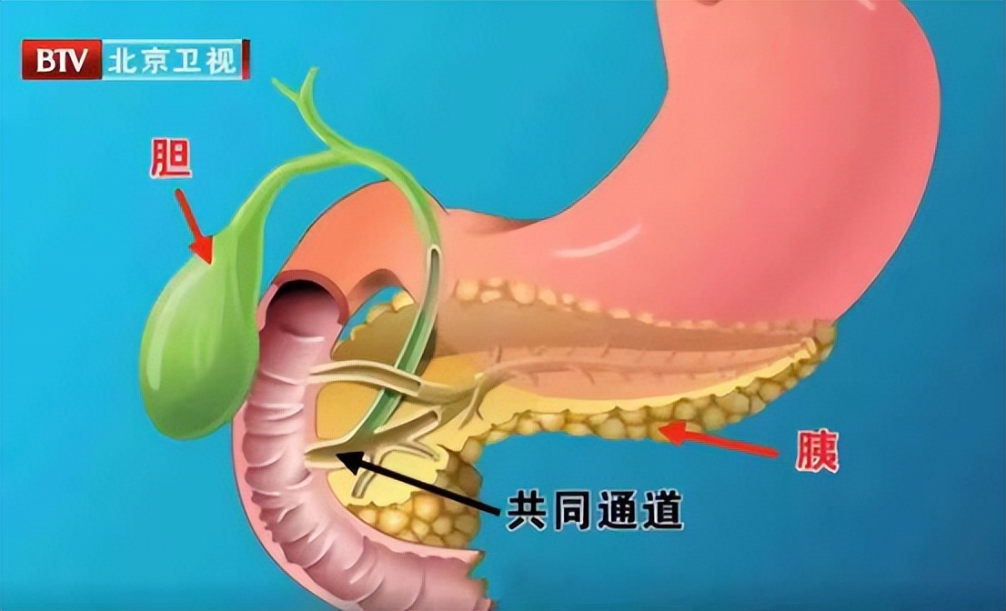 最近身体各个地方相继发炎,吃的东西会导致身体急性炎症
