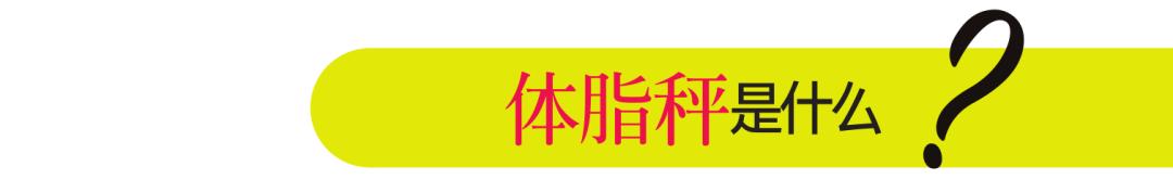 减肥智能体脂秤简单操作,减肥为什么用体脂秤