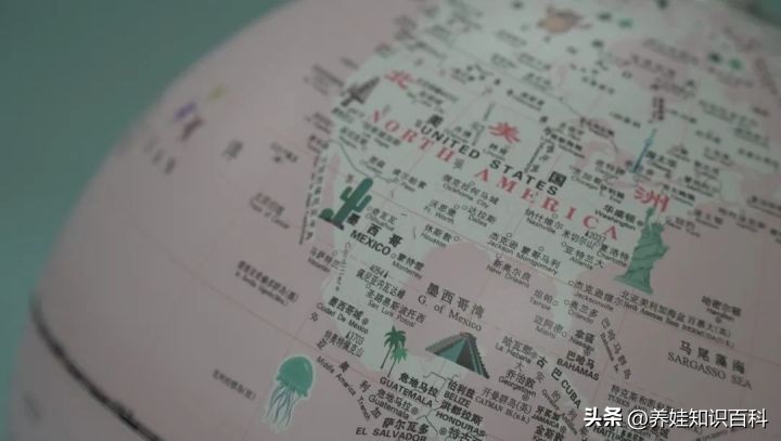 一年级孩子不爱阅读,一年级孩子不爱自主阅读