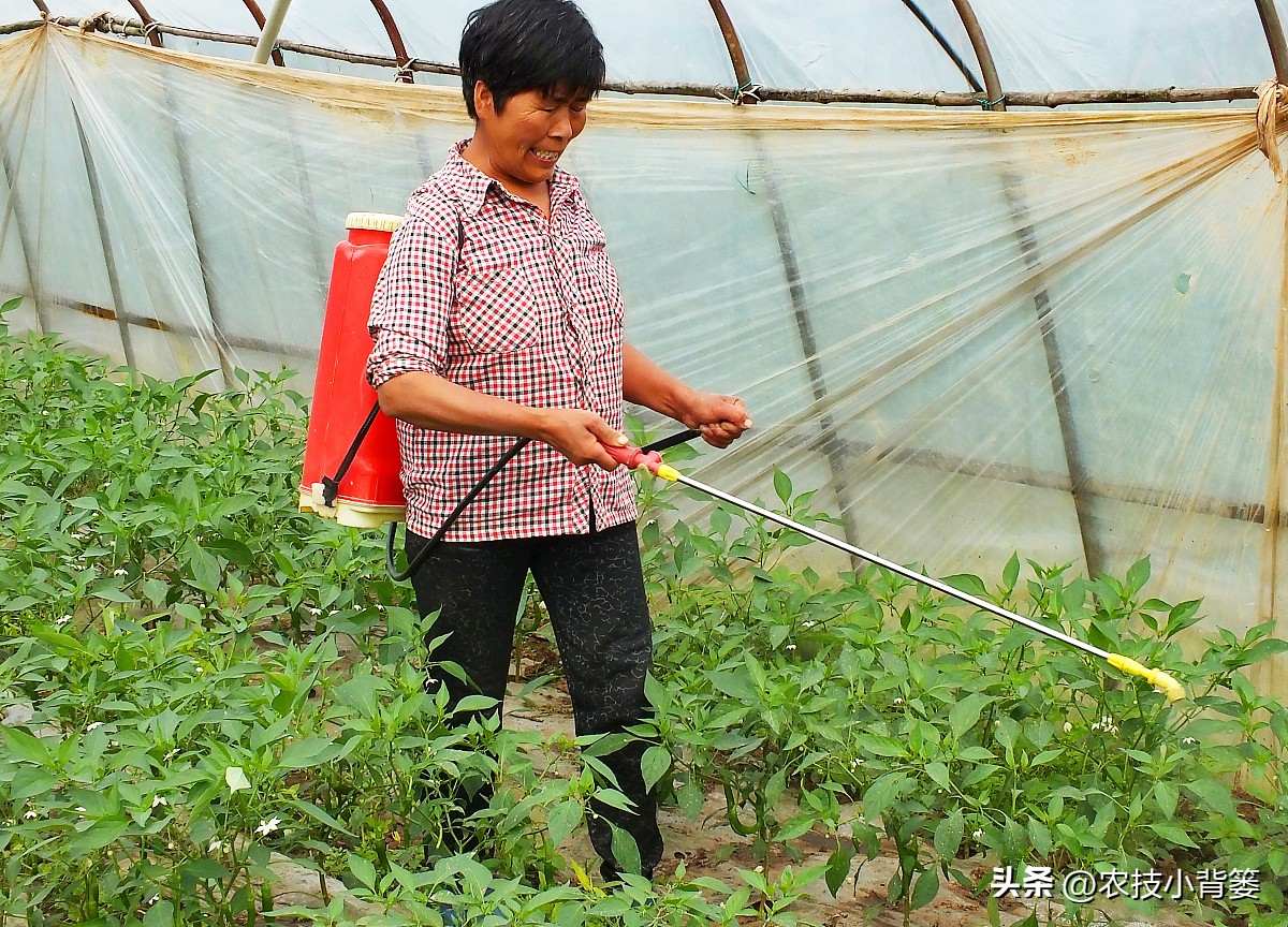 公认最好的对植物无害杀虫剂,植物广谱杀虫剂