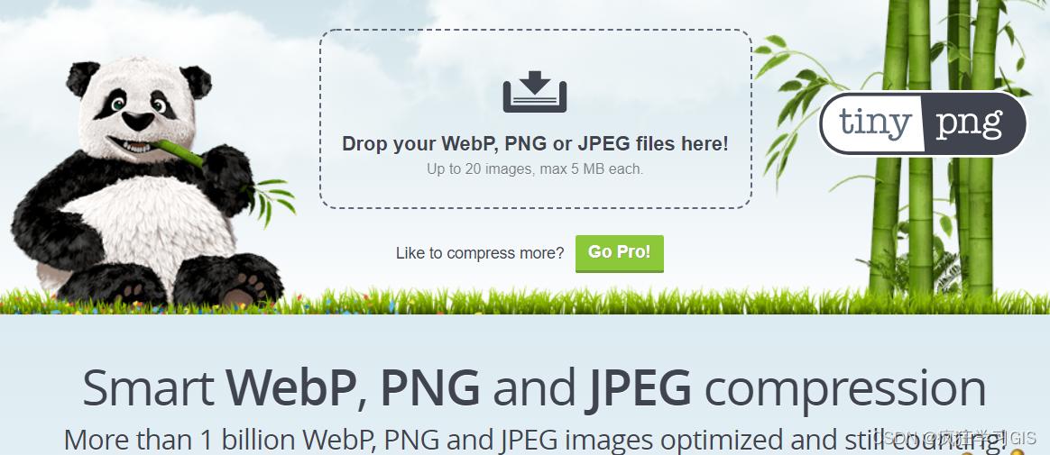 一寸照换底色图片编辑器,2寸证件照片更改背景色制作