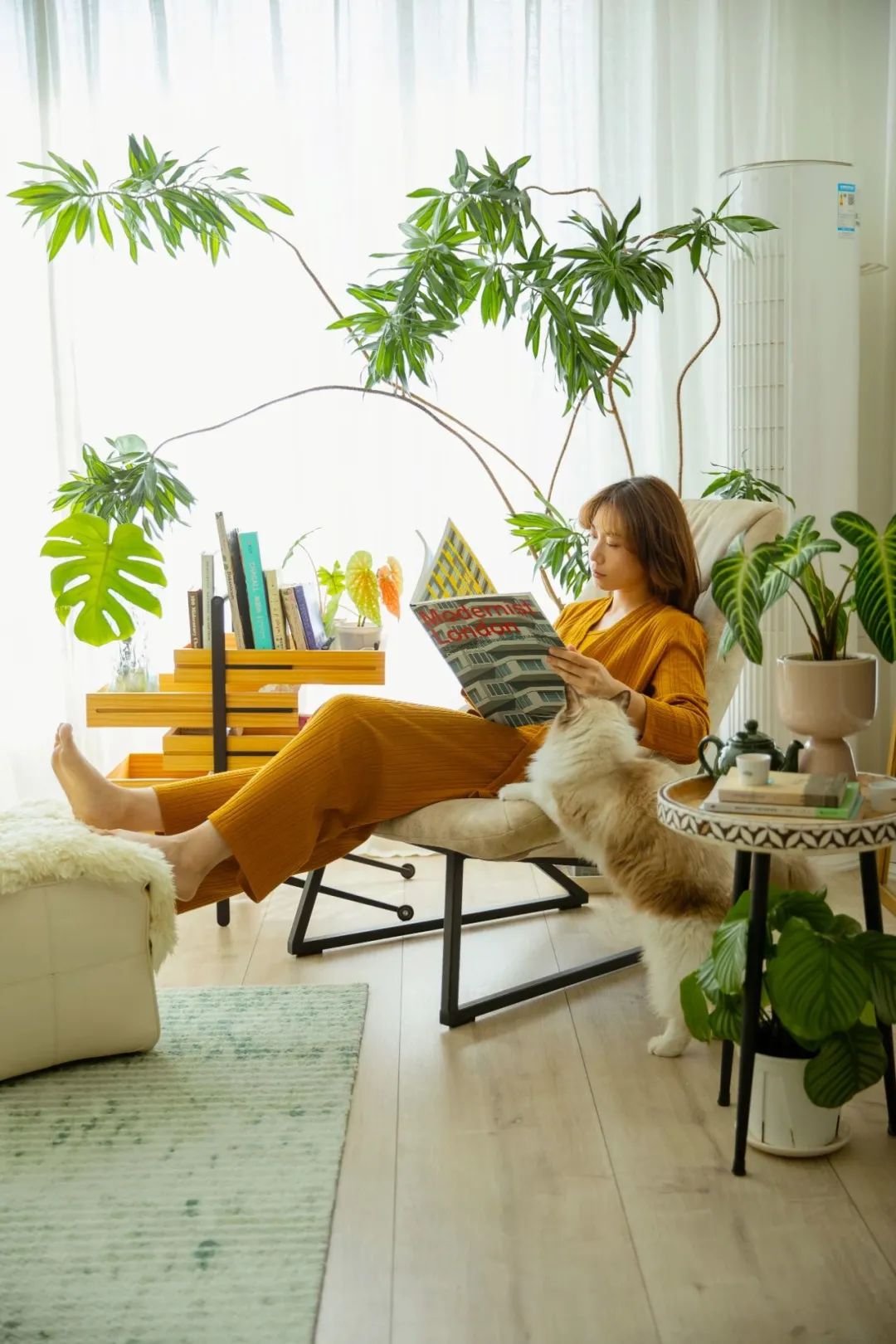 90后妈妈花3年时间,在北京打造室内“小森林”,满屋绿意