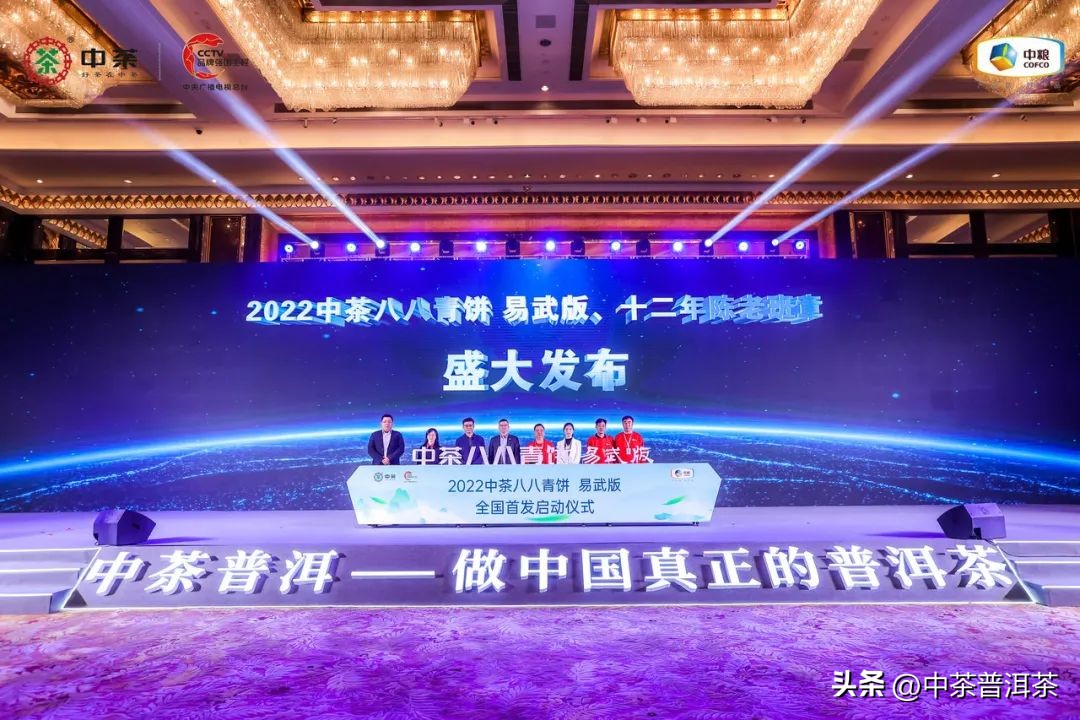 中茶普洱茶经销商信息大会,中茶2024年经销商大会