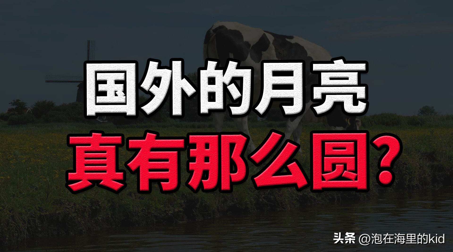 欧洲人素质到底多高,欧洲人素质真的高吗
