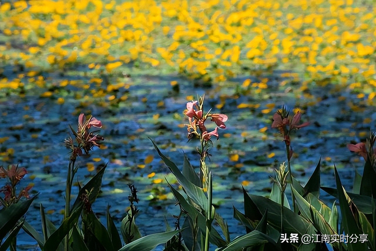 宫崎骏的绝美风景,治愈系宫崎骏夏日风景