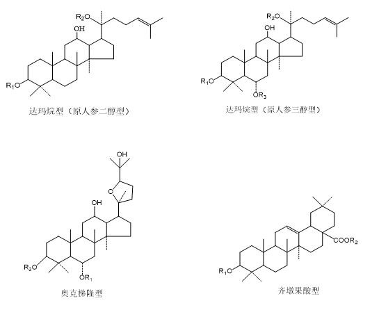 人参皂苷的结构式和活性,naik人参皂苷