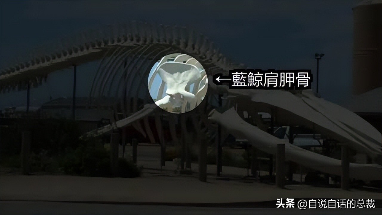 美洲发现中国古文字,美洲发现大银矿