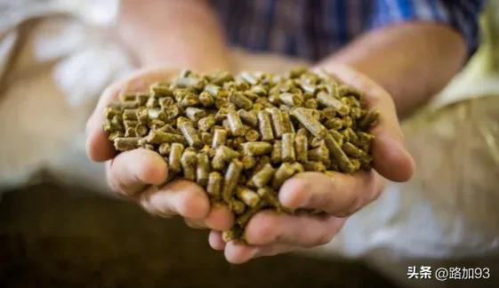 烤鸭科普,烤鸭知识