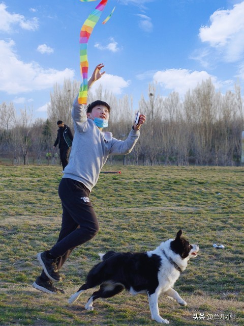 清明节习俗日记10字左右,清明节习俗简短100字