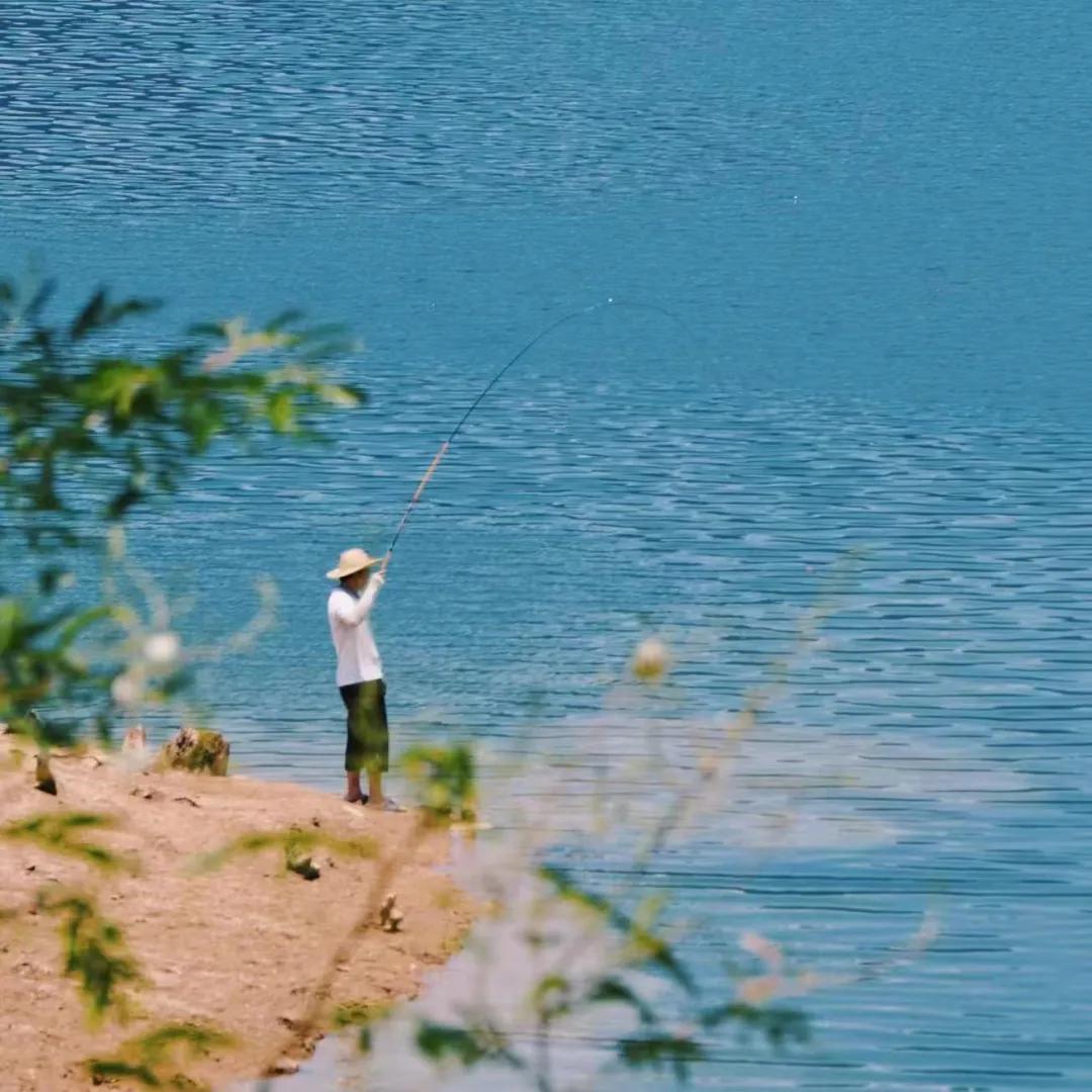 从化草埔村荷花游记,从化小杉村游玩攻略油菜花