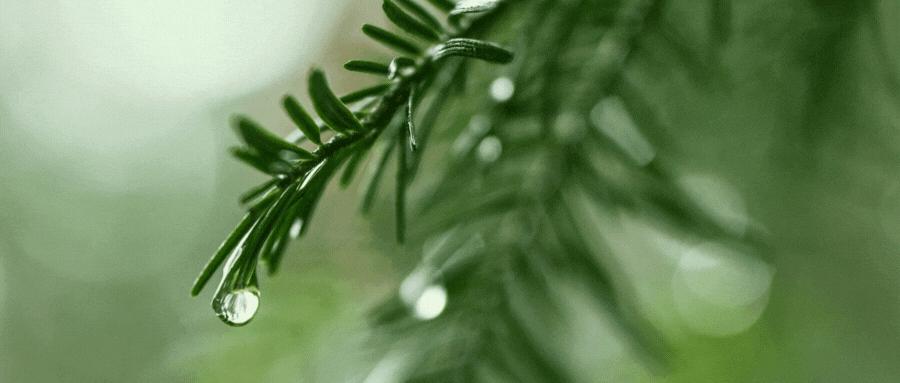 国美早期商业模式,国美供应链金融发展历程