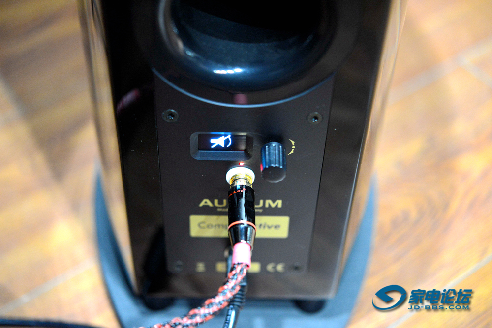 另类点音源发烧友的福音：德国AUDIUMComp5.2有源音箱