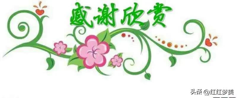 生肖猪的终生伴侣是什么属相,生肖猪的最佳情人是谁