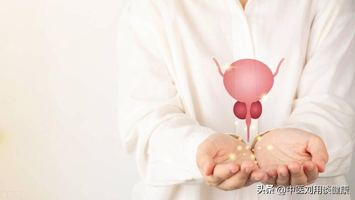 膀胱问题吃什么,膀胱问题导致的尿频吃什么中成药