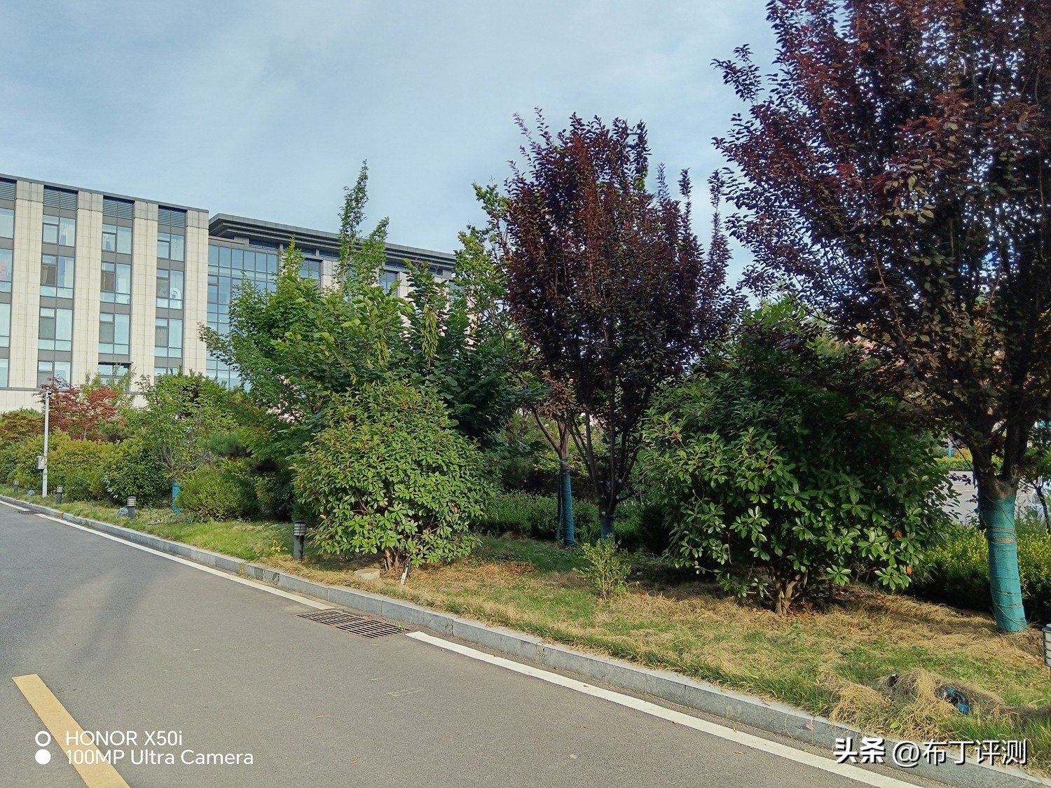 荣耀x50i与红米note11tpro哪个好,荣耀x50i和oppoa1活力版哪个比较好