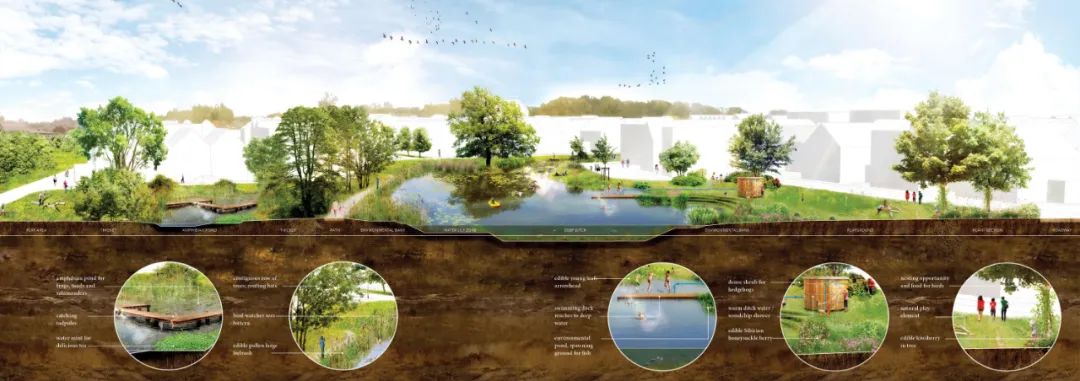 一个可以食用的绿色社区|RijnvlietEdibleNeighborhood