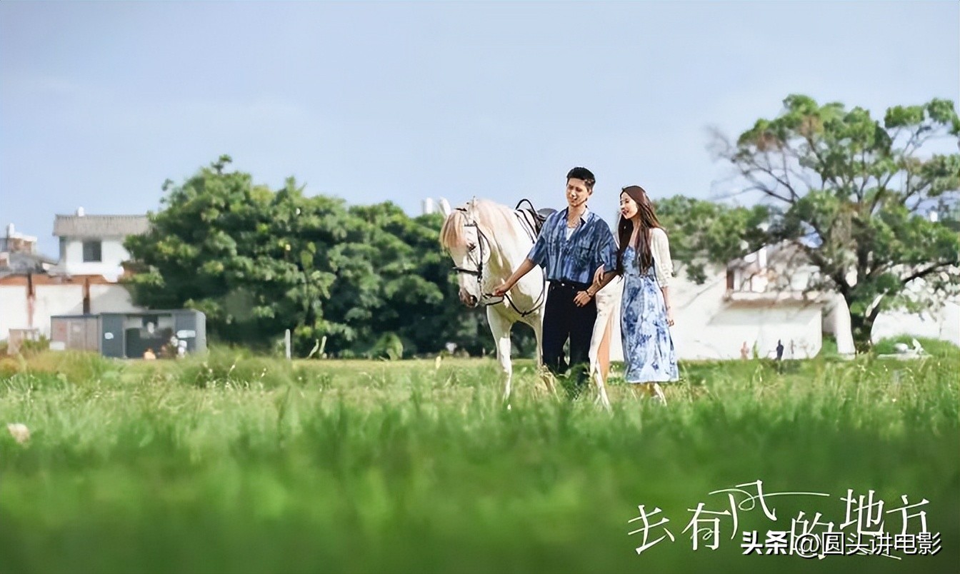 最火的三部剧你在追哪部,强烈推荐一部好剧去有风的地方