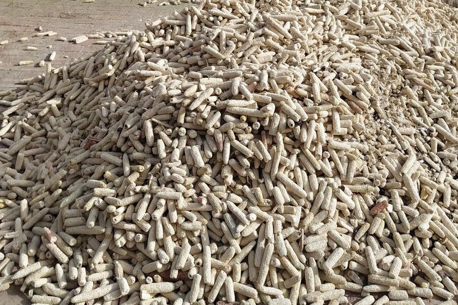 种土豆往窝里撒玉米面好吗,种土豆上面全部用锯末盖好吗