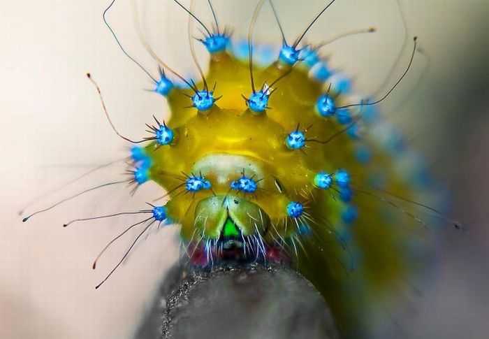 100个难得一见照片,难得一见12张照片