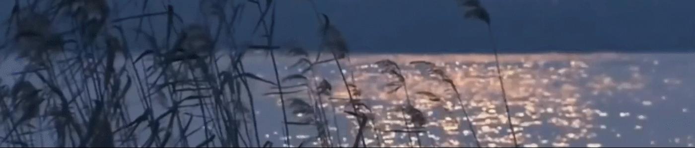 音乐之巅，海顿的奇思妙想：D人调羽管键琴揭秘古典魔力！