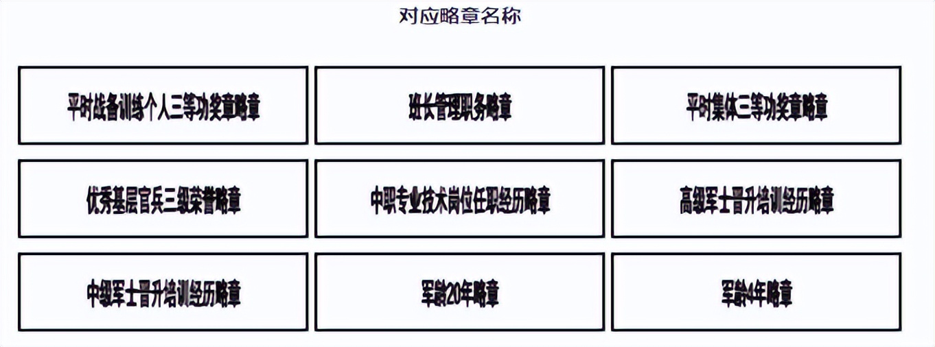 军人勋表，帅气登场！