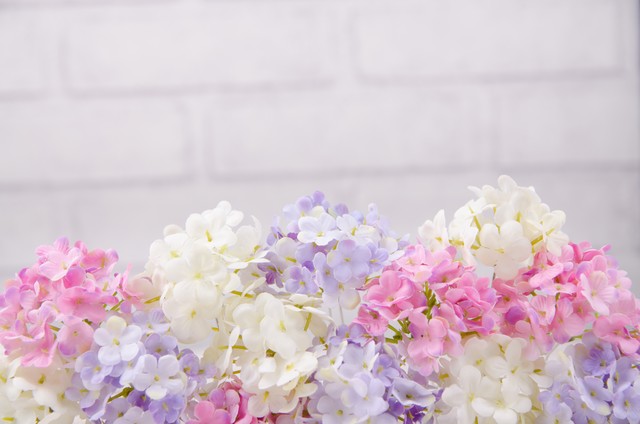 梦里花落知多少小说,梦里花落知多少