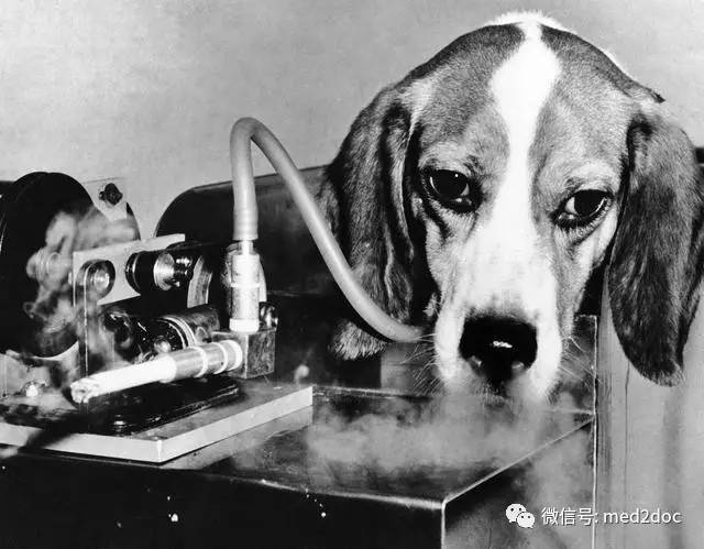 戒烟日记827,戒烟日记全文