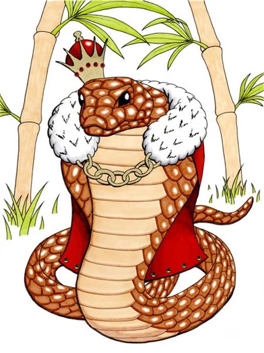 雄性眼镜王蛇捕杀雌性王蛇视频,眼镜王蛇繁衍过程