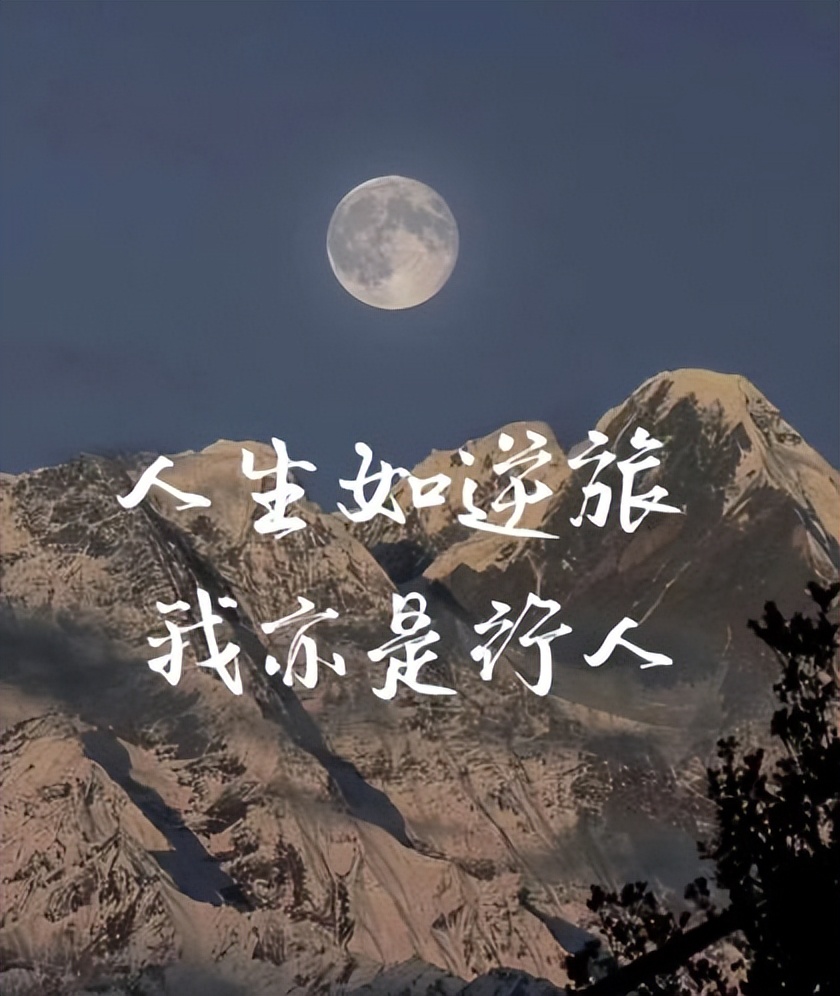 推书君第181期,推书君旧版