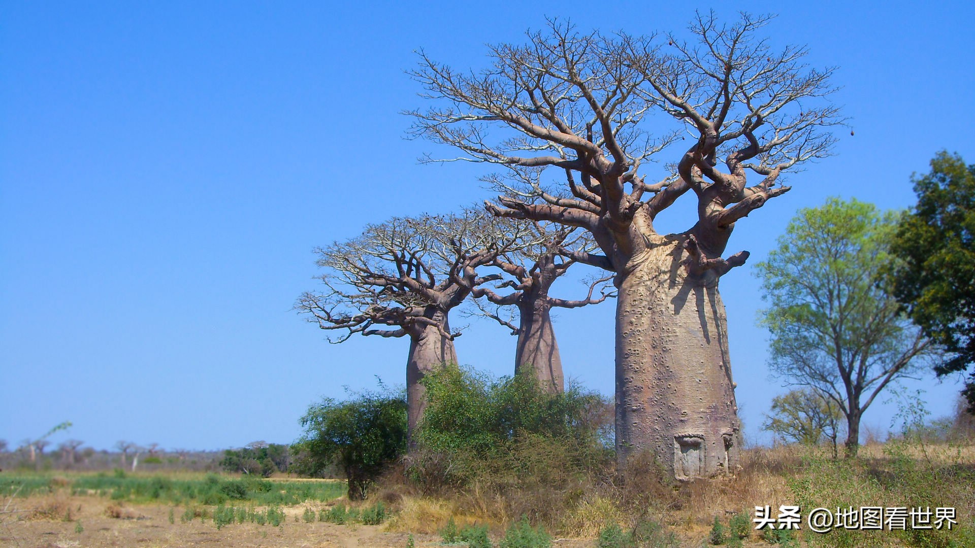 2022世界杯趣谈,塞内加尔2022年世界杯预选赛