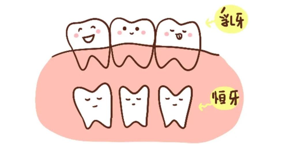 孩子有双排牙,小孩长双排牙前面的乳牙很松没掉