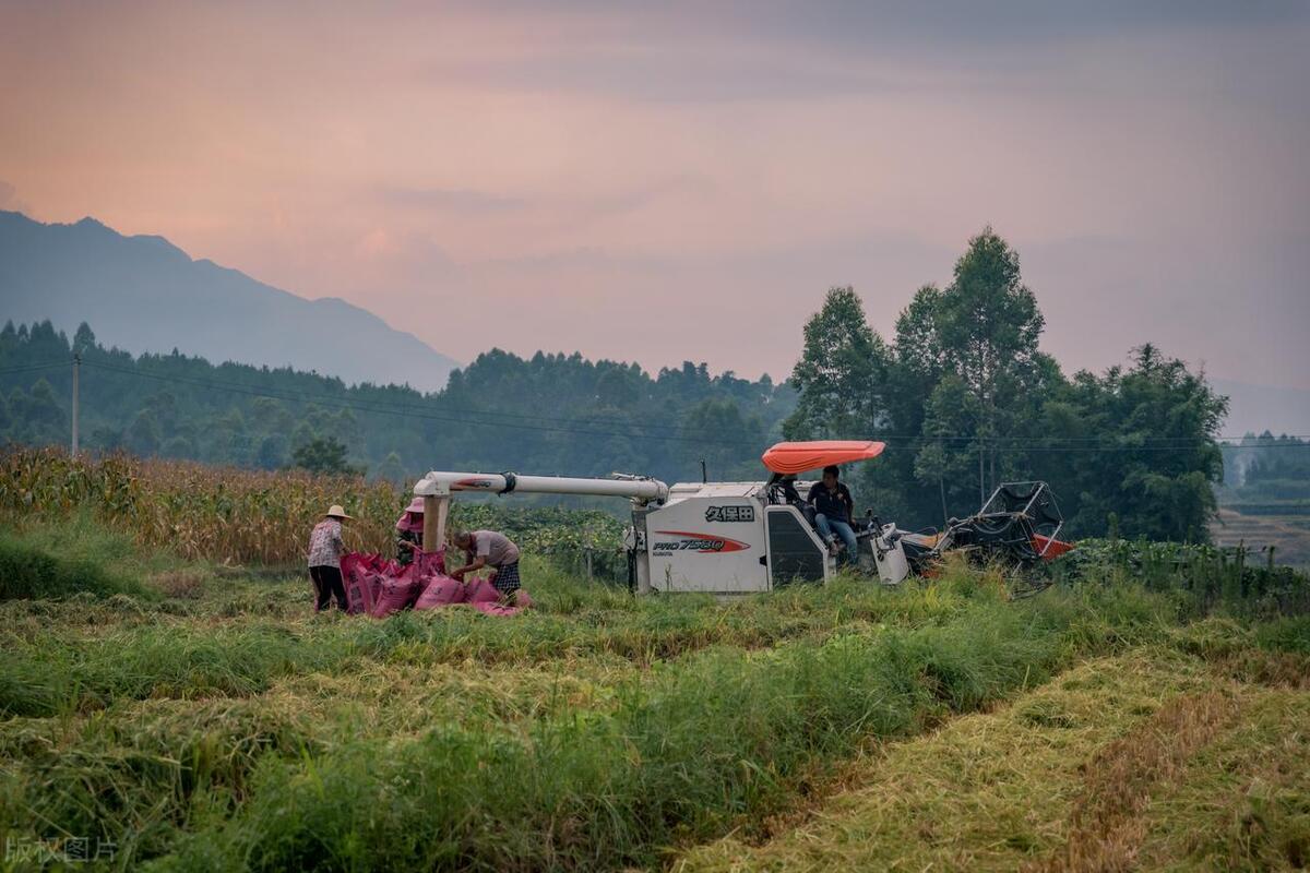 农民种田要考证是怎么回事,农民种地也要考证后续