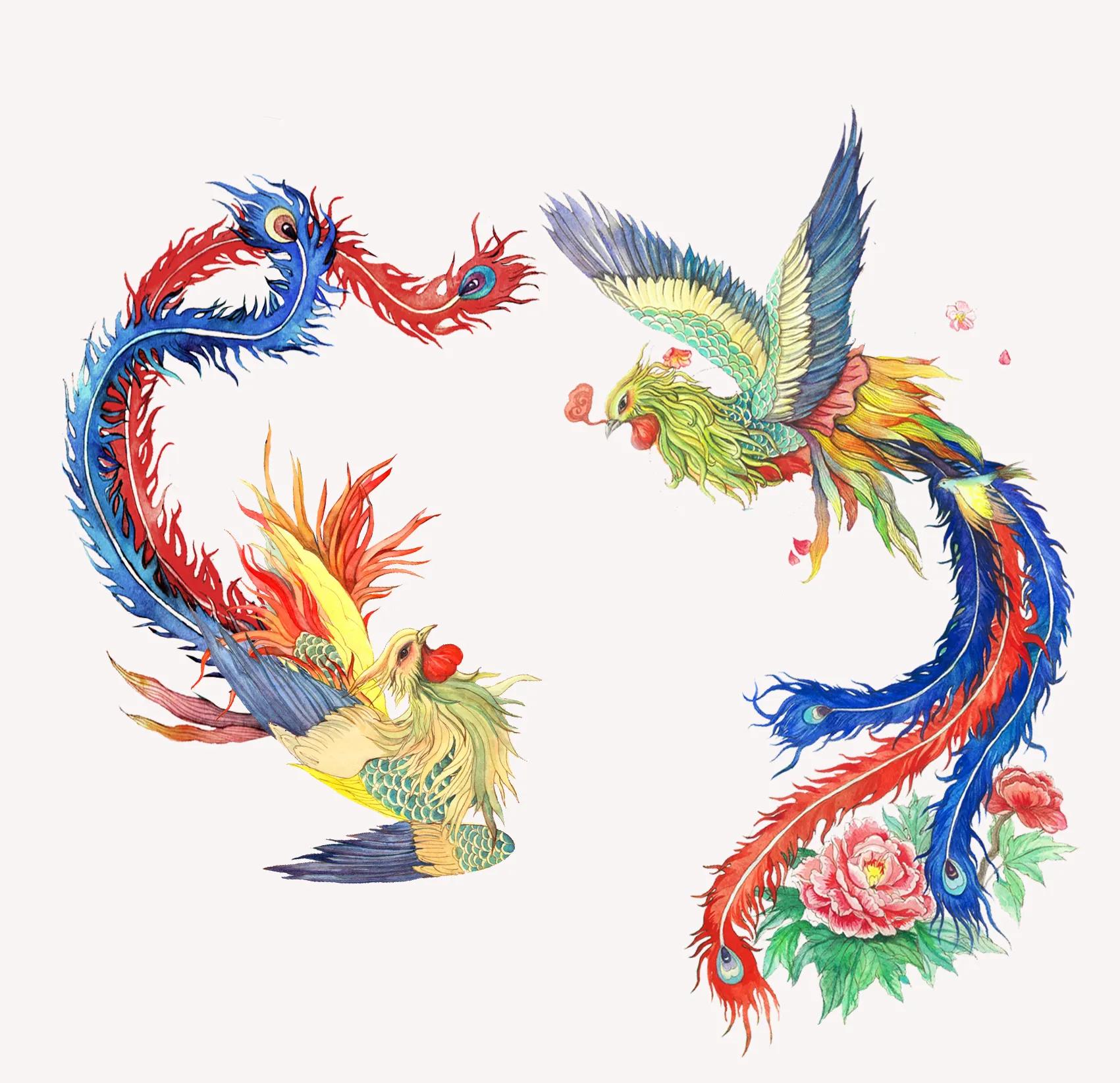 期待凤凰浴火重生,凤凰浴火重生全集