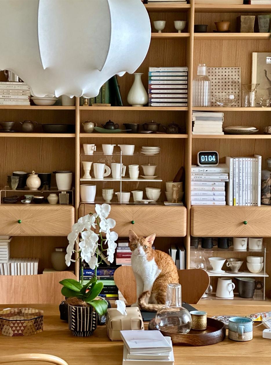 北京夫妻花光积蓄把225㎡改成一居:不要孩子、折腾房子,好任性