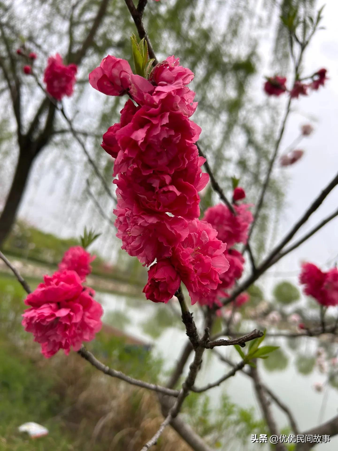 女子被男同事欺负怎么办,女子遭男同事欺负