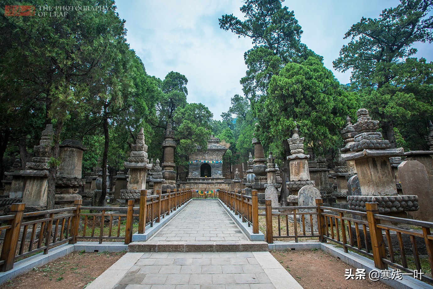 济南灵岩寺，有座国内最大也是唯一的石砌塔林，规模比少林寺更大
