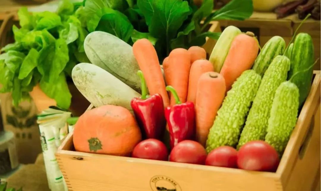 多利桃花源有机农庄,多利桃花源旅行