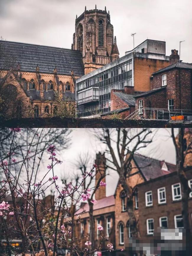 曼大录取中国学生大学名单,怎么申请曼大的本科