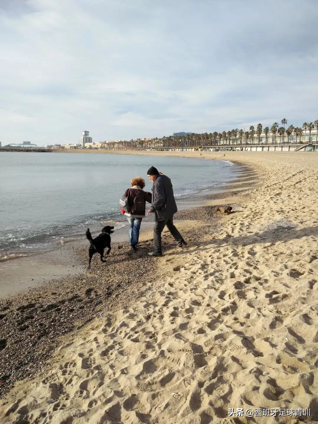 踢球影响智力,西班牙踢球和学习