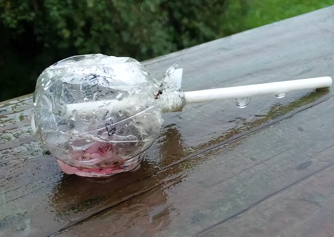 美丽的大自然,37张照片